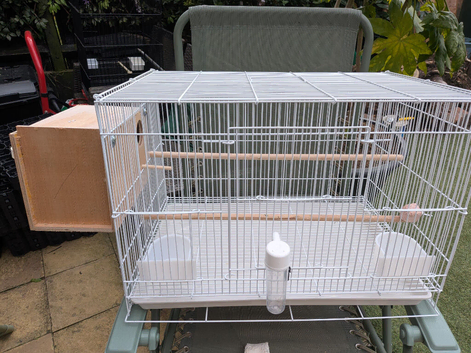 Cage setup