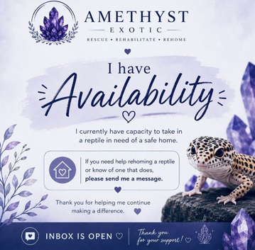 We have availablity!