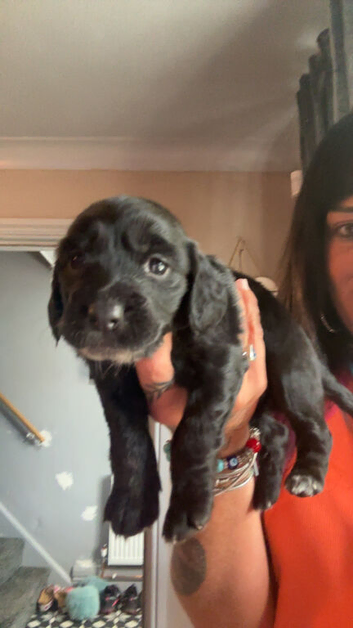 4 weeks old