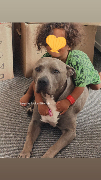 Staff x Bully, Shadow