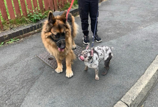 Narla