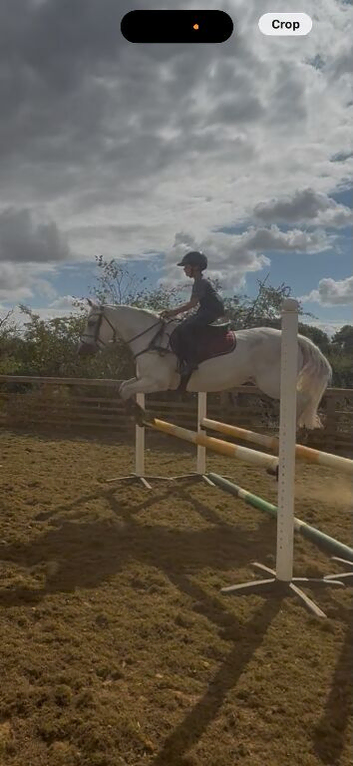 Free horse riding:caring for horses