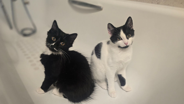 a wonderful boy and girl