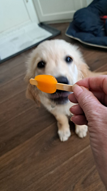 1 boy