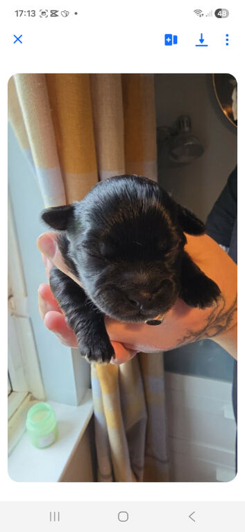 6 stunning babies