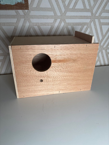 Budgie boxes