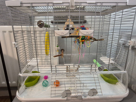 Vision Cage/Home for Birds Regular, 60.9 x 38.1 x 52 cm, Medium
