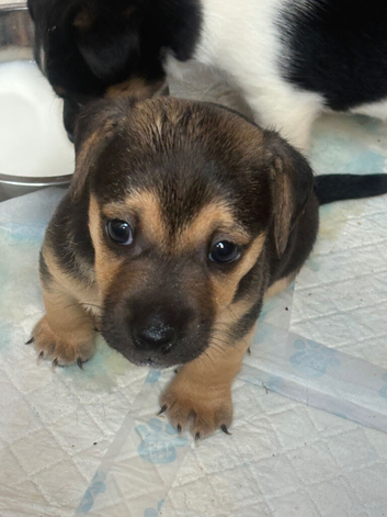 One boy available