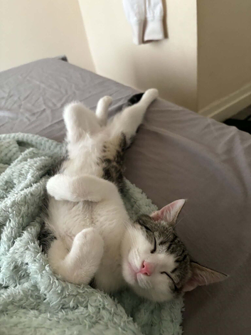 Lovely boy