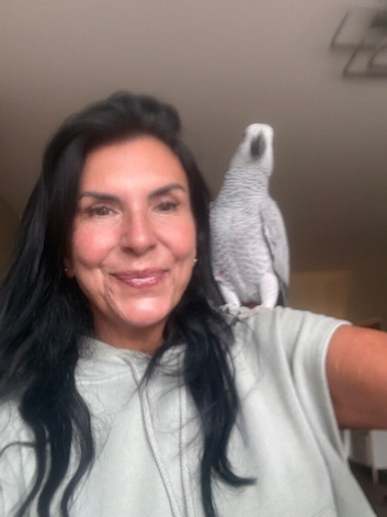Baby African Grey