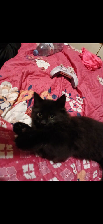 Onyx