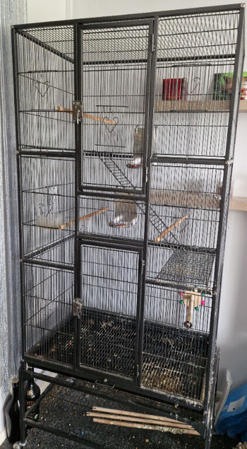 Large Bird cage
