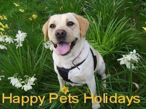 Happy Pets Holidays