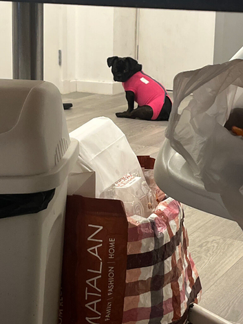 Ivy urgent post
