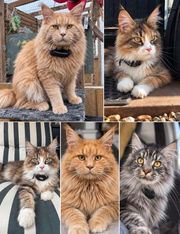 Tica registered and fully vaccinated