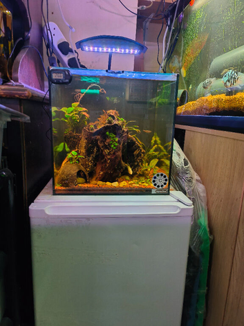 3ft Divided Tank & Aqua one 40ltr