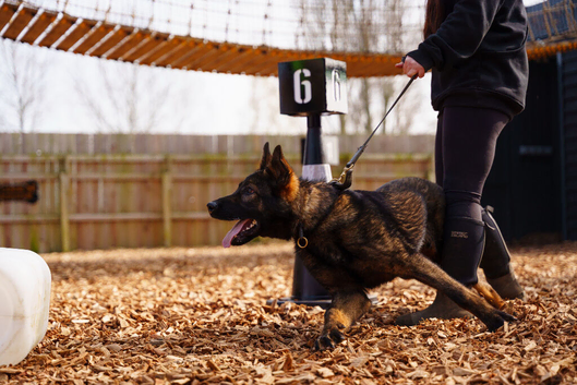 Part Trained Working Male