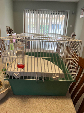 *reduced* Hamster Cage Full Set Up