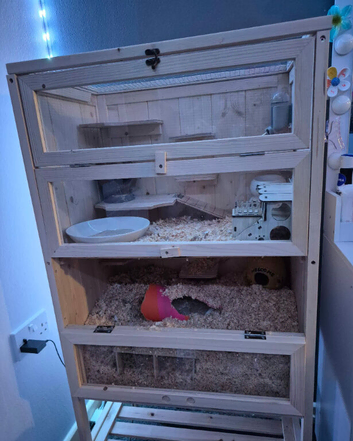 Gerbils cage and accessories