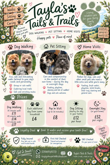 Dog Walking, Pet Sitting & Pop Ins