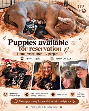 Puppies For Sale:)