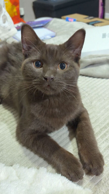 Beautiful boy