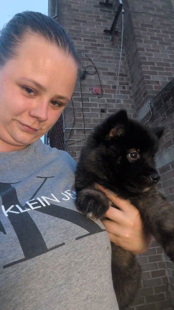 Puppy