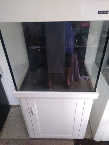 Aquariums for sale
