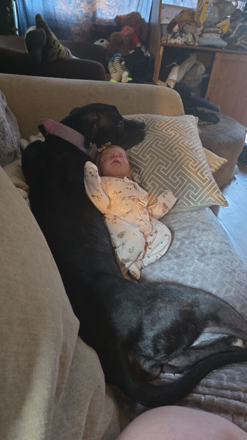 12 month old female