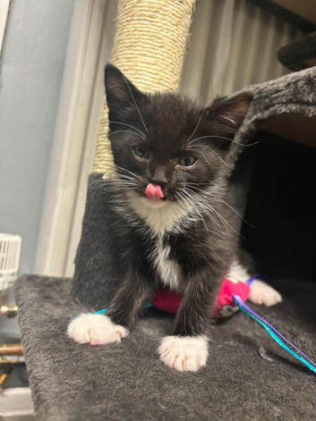 ready to go to good homes.