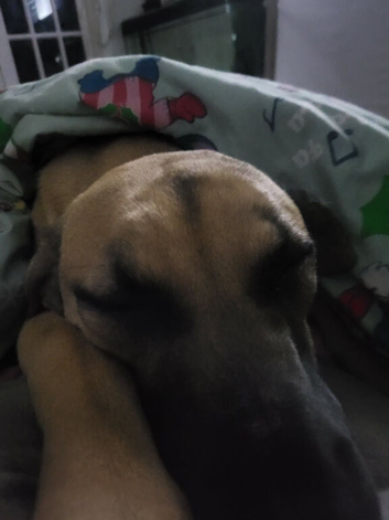 7month old female
