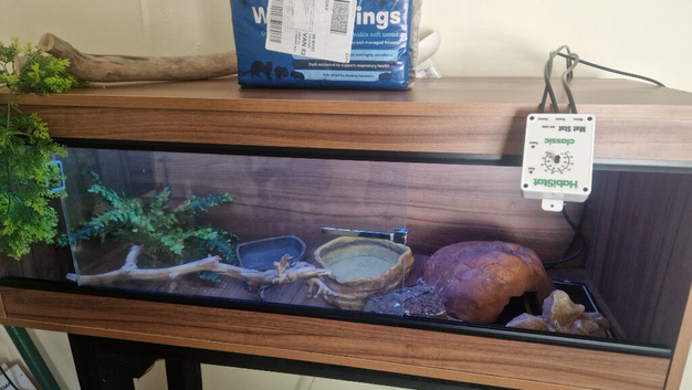 4ft/1.5/1.5 vivarium and all accessories