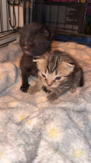 Both reserved