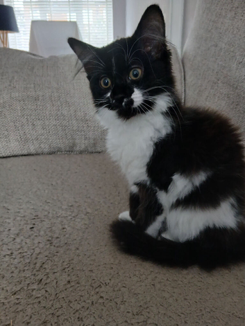 Looking for forever home