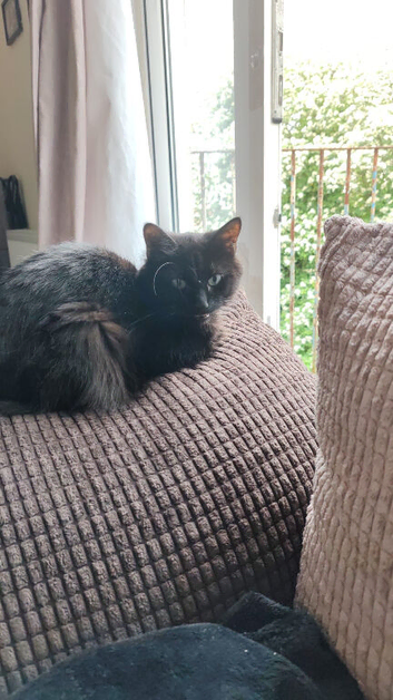 Minnie
