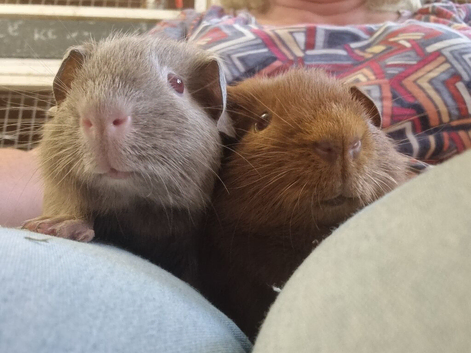 2 gorgeous boys