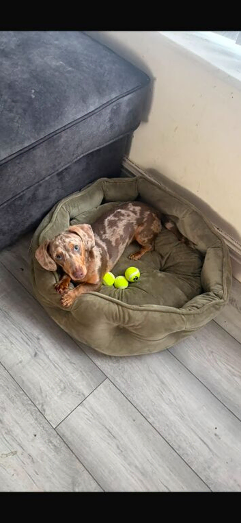 Axel