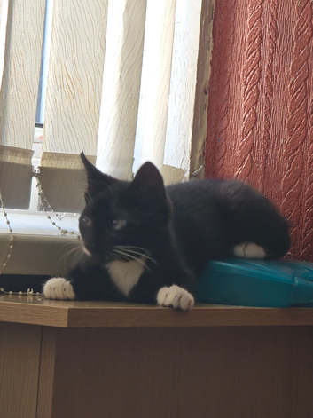 Little boy