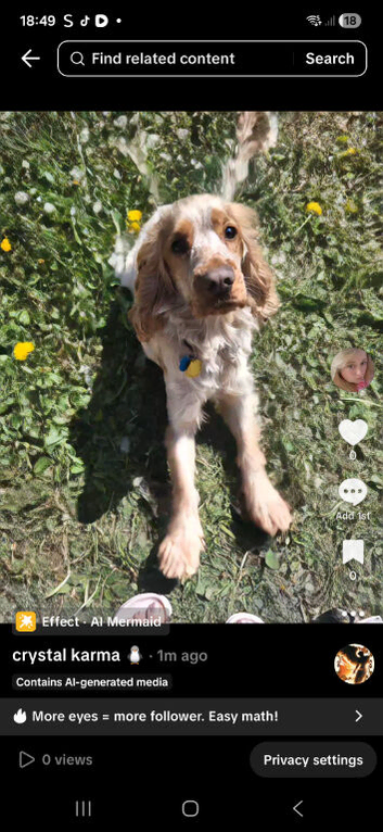 Male cocker