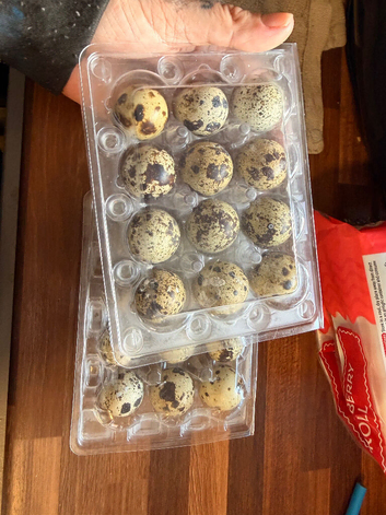 Quail eggs