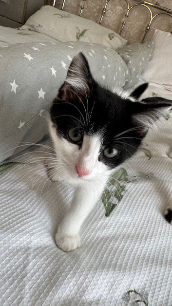 Penny she is 15 weeks old