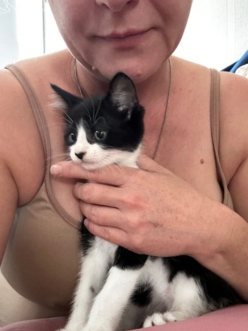 4 gorgeous kittens for sale.