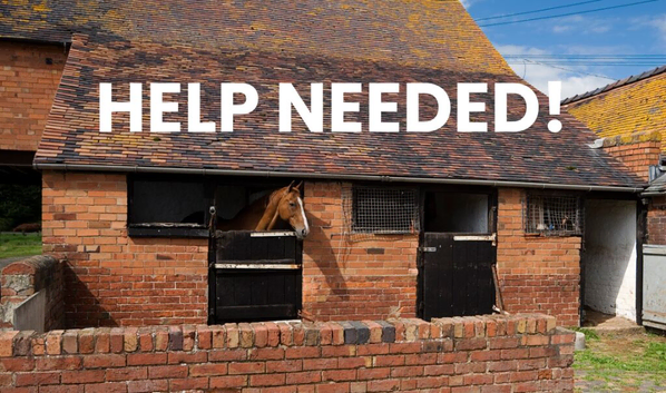 Help Required With Horses and on the yard