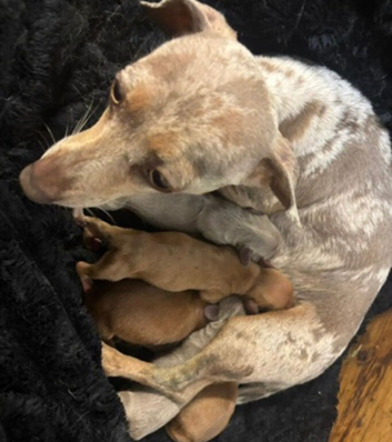Beautiful babies
