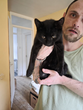 2 Kittens