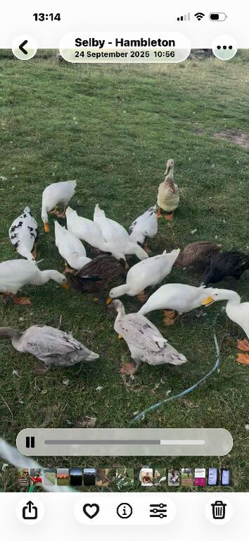 Pairs of Runners