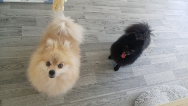 Boy and girl