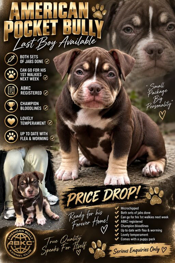 PRICE DROPlast stunning male pocket left