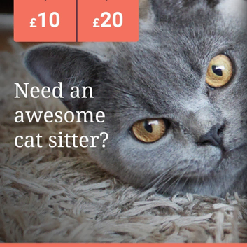 Cat sitting in Sheffield/Chesterfield