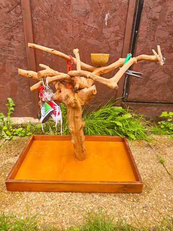 Table top parrot java tree stand
